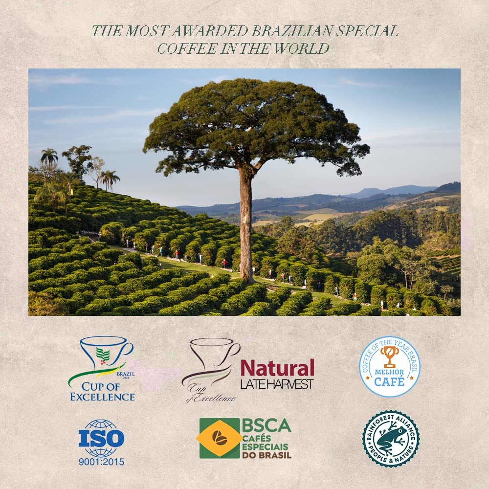 Café Torrado em Grão Bourbon Amarelo Orfeu 250G