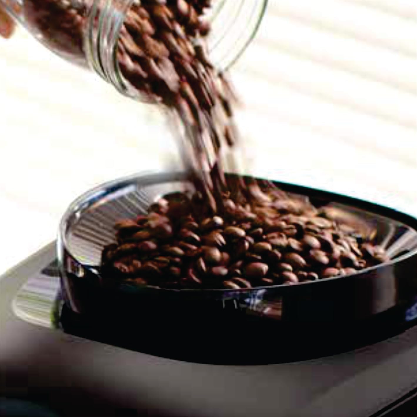 Cafeteira Gaggia Besana Italiana Expresso Automática