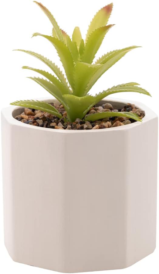 Cachepot de Cimento Wolff com Suculenta Branco 10x15cm