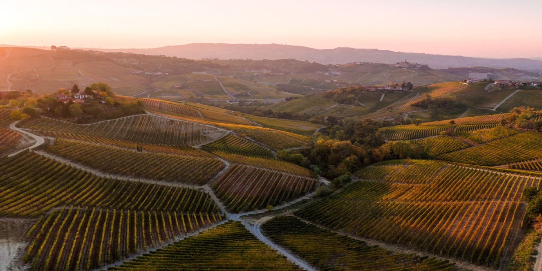 Vinho Tinto Italiano San Silvestro Barolo Patres DOCG