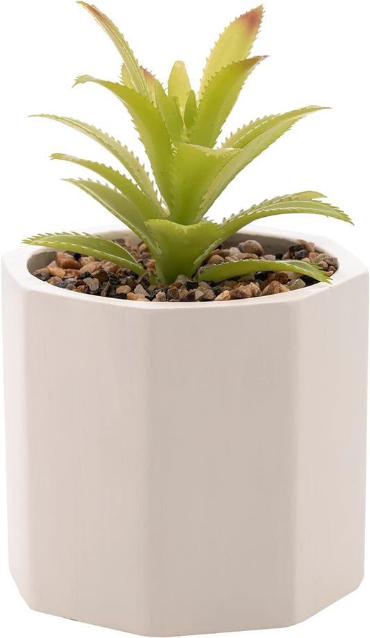 Cachepot de Cimento Wolff com Suculenta Branco 10x15cm
