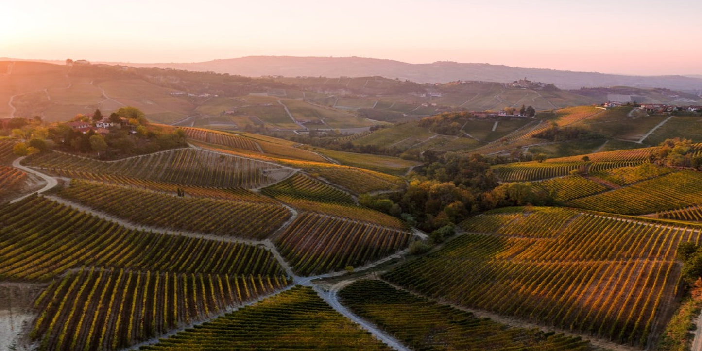 Vinho Tinto Italiano San Silvestro Barolo Patres DOCG