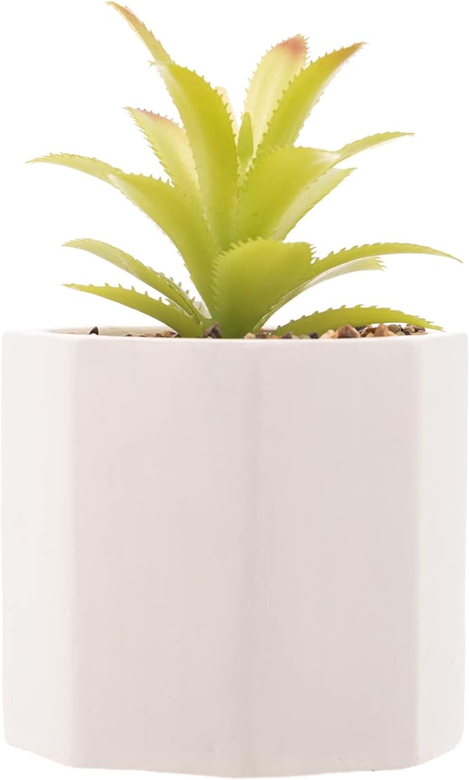 Cachepot de Cimento Wolff com Suculenta Branco 10x15cm